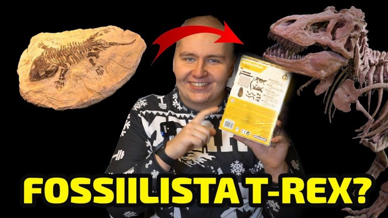 Vuoden 2020 suosikkilelu - timanttipora lauloi! pikkukuva