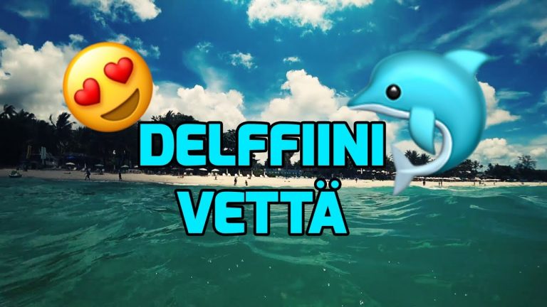 Muistisairaus iskee jälleen 🐬 pikkukuva