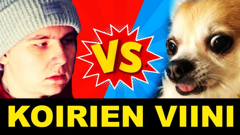 CHIHUAHUA VS MINÄ - KOIRIEN HERKUT 2020 pikkukuva
