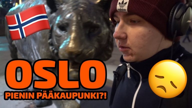 🇳🇴 NORJALAISTEN VIIKINKIEN KANSSA SALILLA 🏋️ pikkukuva