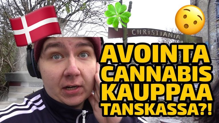 AVOINTA DÄNKKIKAUPPAA TANSKASSA?! 🍀 pikkukuva