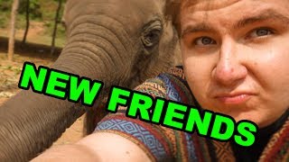 KARVAISIA KÄRSIÄ KAIKKIALLA 🐘 pikkukuva